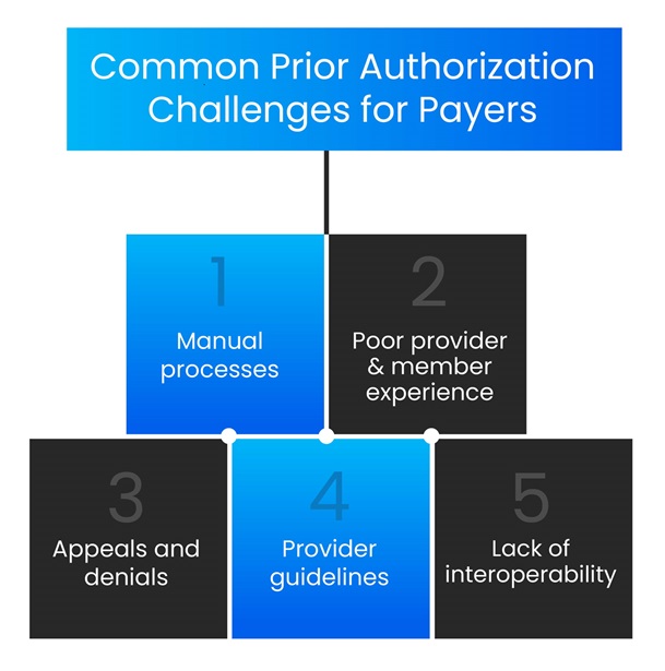 Common Prior Authorization Challenges for Payers